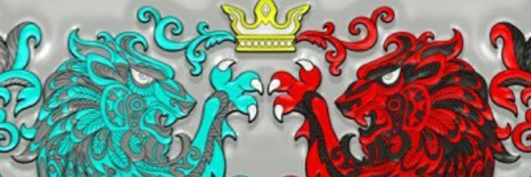 DoubleDisasters's profile banner image