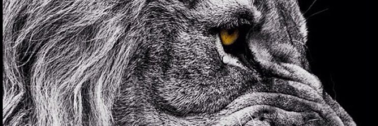 CosminUtv's profile banner image