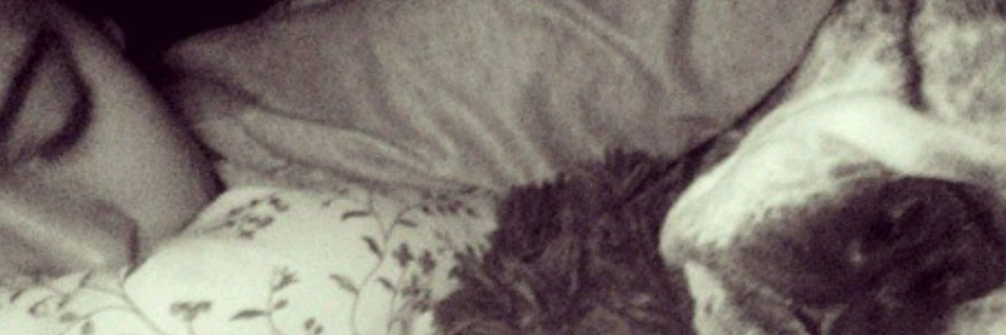 carmenmd97's profile banner image
