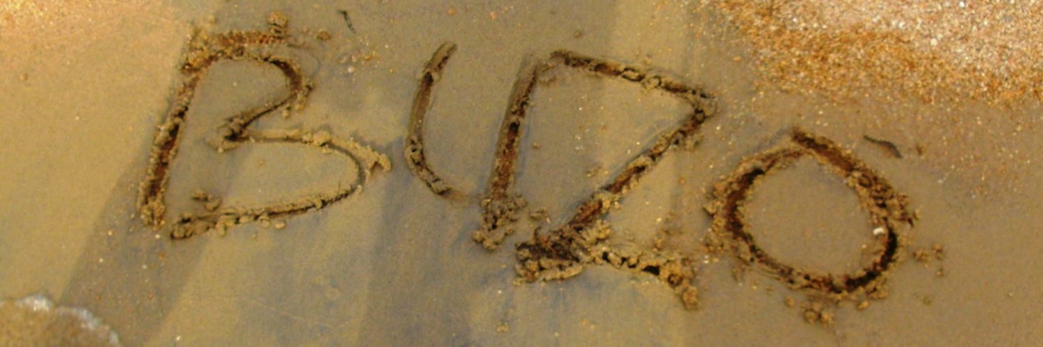 stbuzo's profile banner image