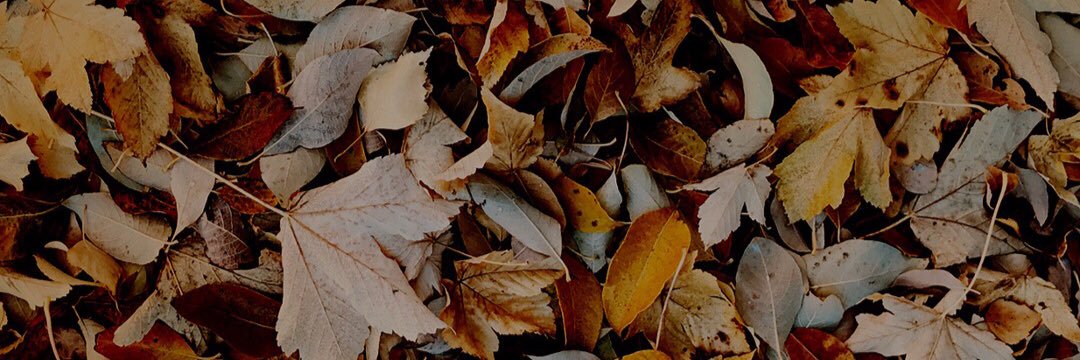 Hayalet_7_'s profile banner image