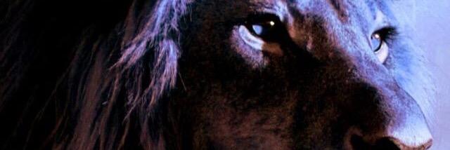 mueller0308's profile banner image