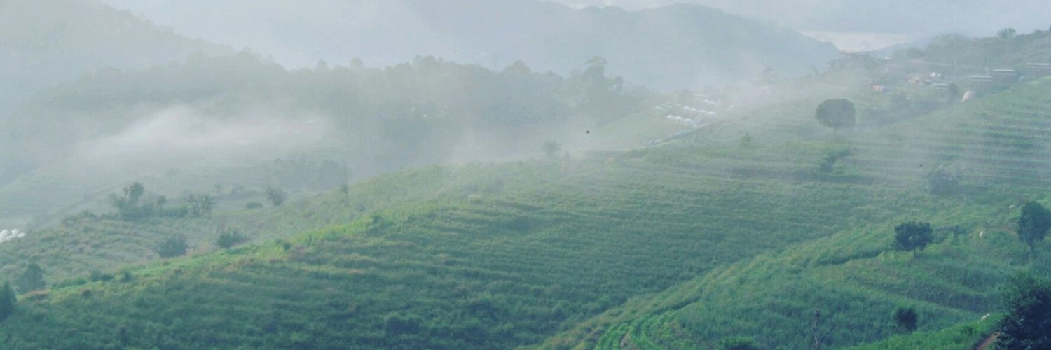 kao_chanel's profile banner image