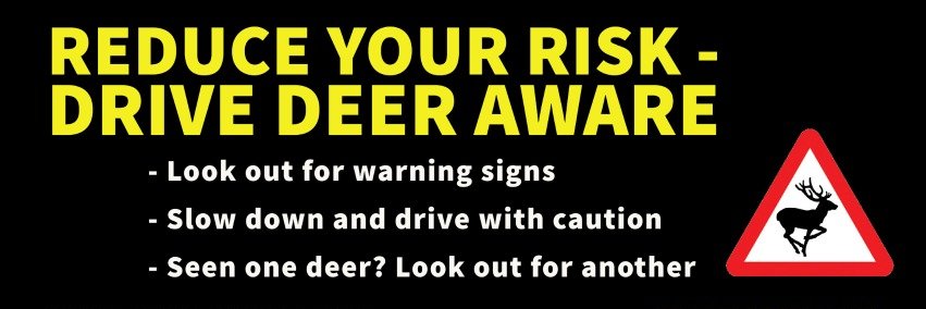 Deer_Aware's profile banner image