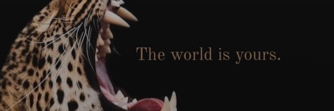 valxferrer's profile banner image