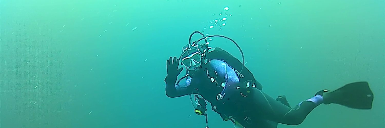 Katie Whitlow, PhD banner