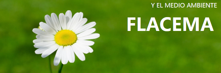 FLACEMA banner