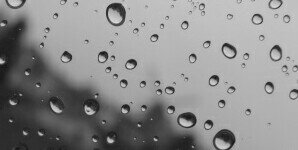 winra banner