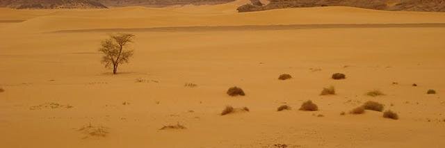 Laurence Defranoux banner