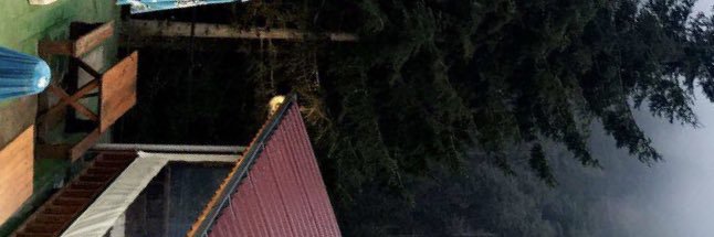 BSaqqaf's profile banner image