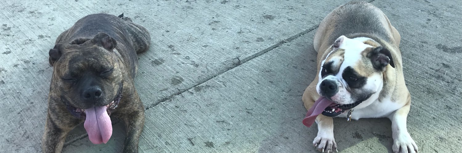 palm331's profile banner image