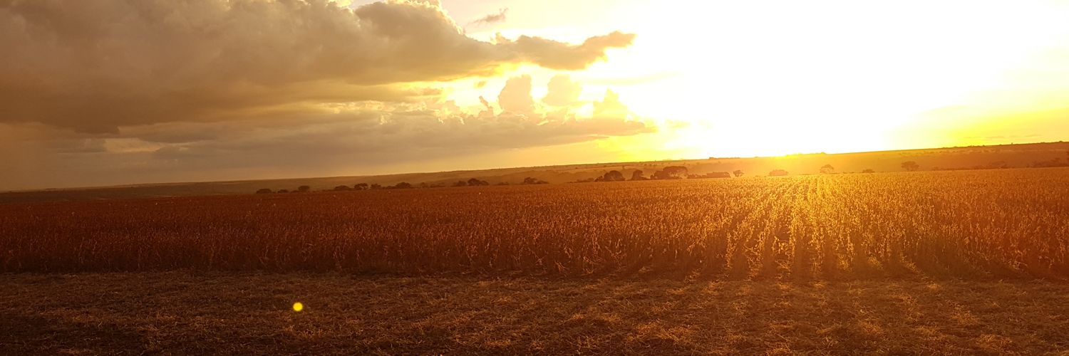 FabioKoch's profile banner image