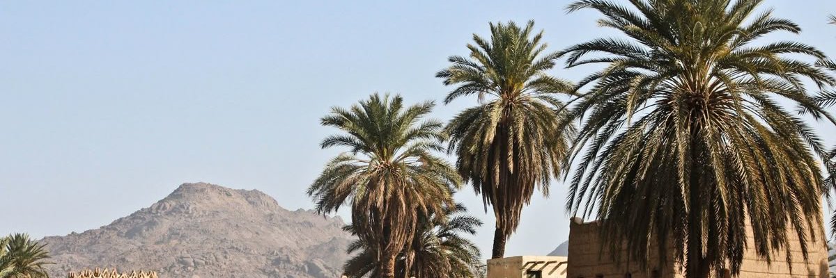 telemohd's profile banner image