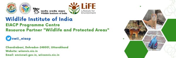 wii_eiacp Profile Banner