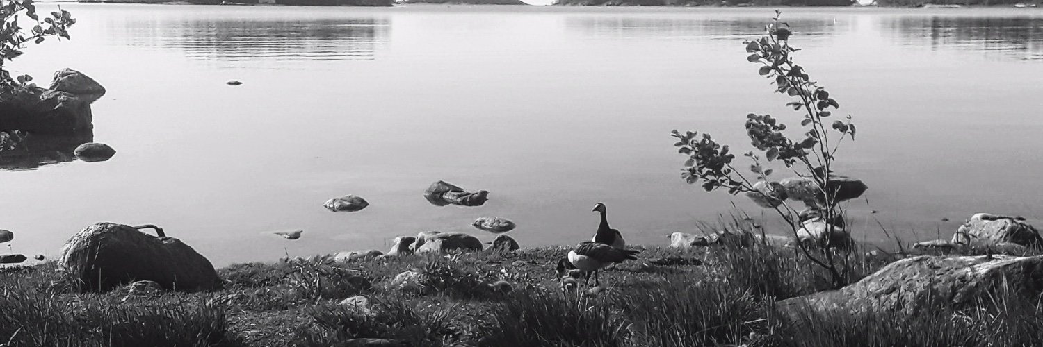 Anita Bandrowski banner