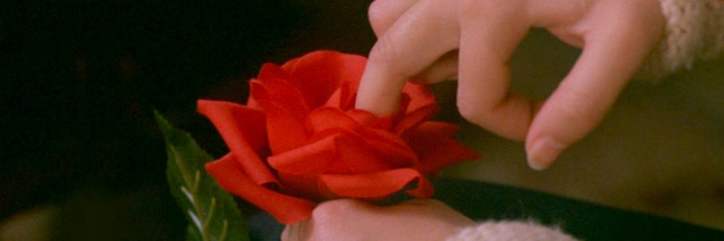 Tibor banner