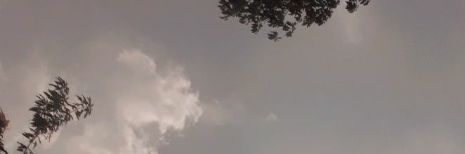 bhutanib's profile banner image