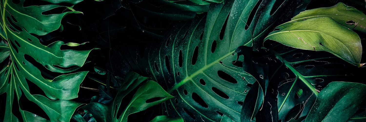 eni_me's profile banner image