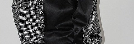Pulsar_Ent's profile banner image