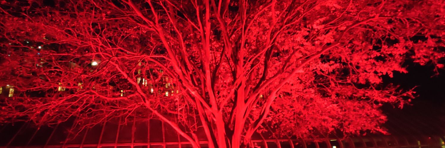 LilShpee8's profile banner image
