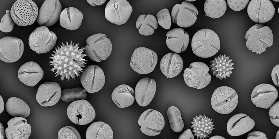 Scienceonthenet banner