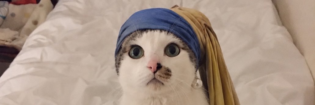 shmorimo's profile banner image