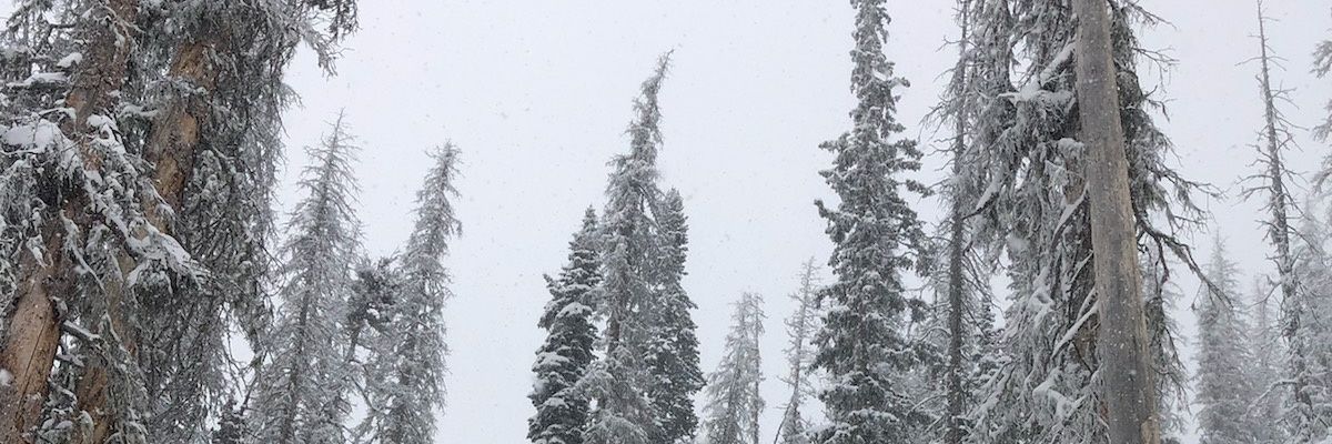 HoustonBrackett's profile banner image