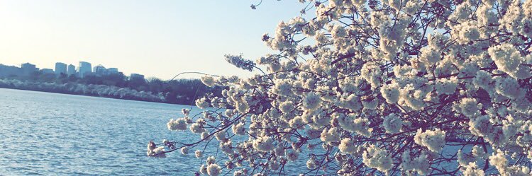 EmanZM's profile banner image