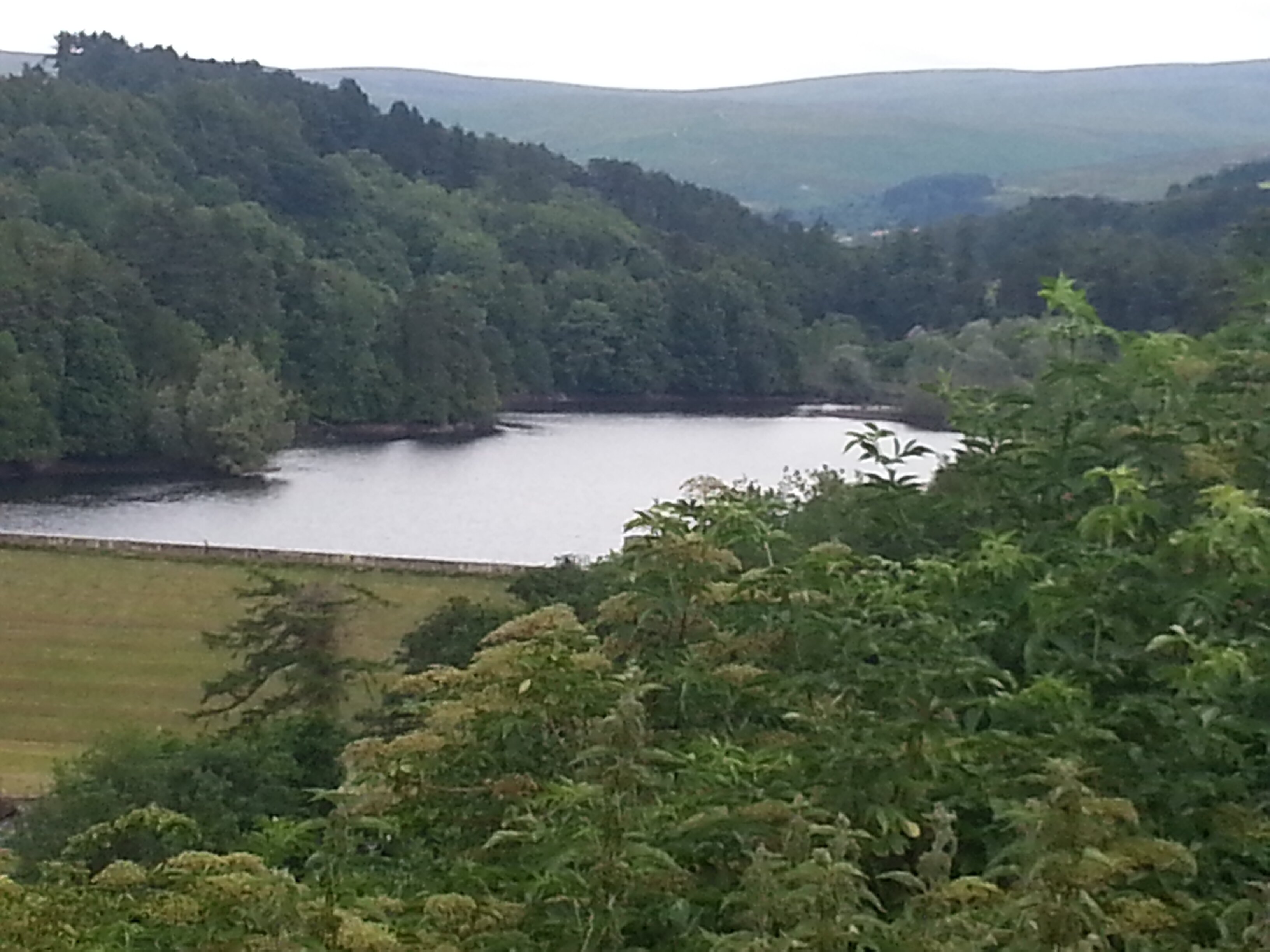 Steven Carroll banner