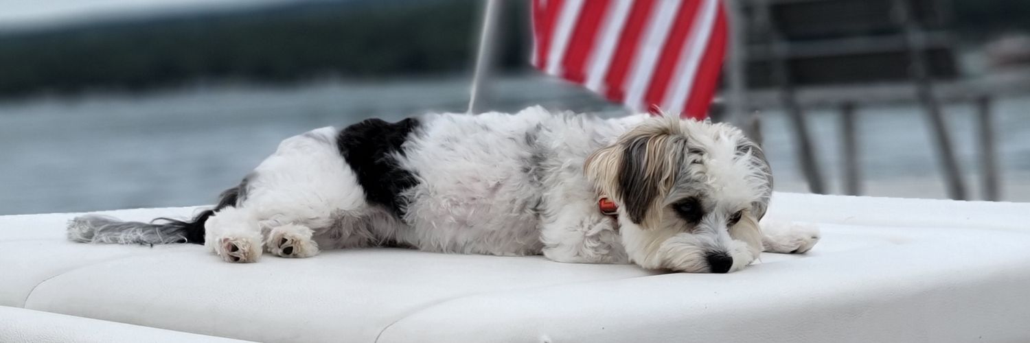 Pamella Signore banner