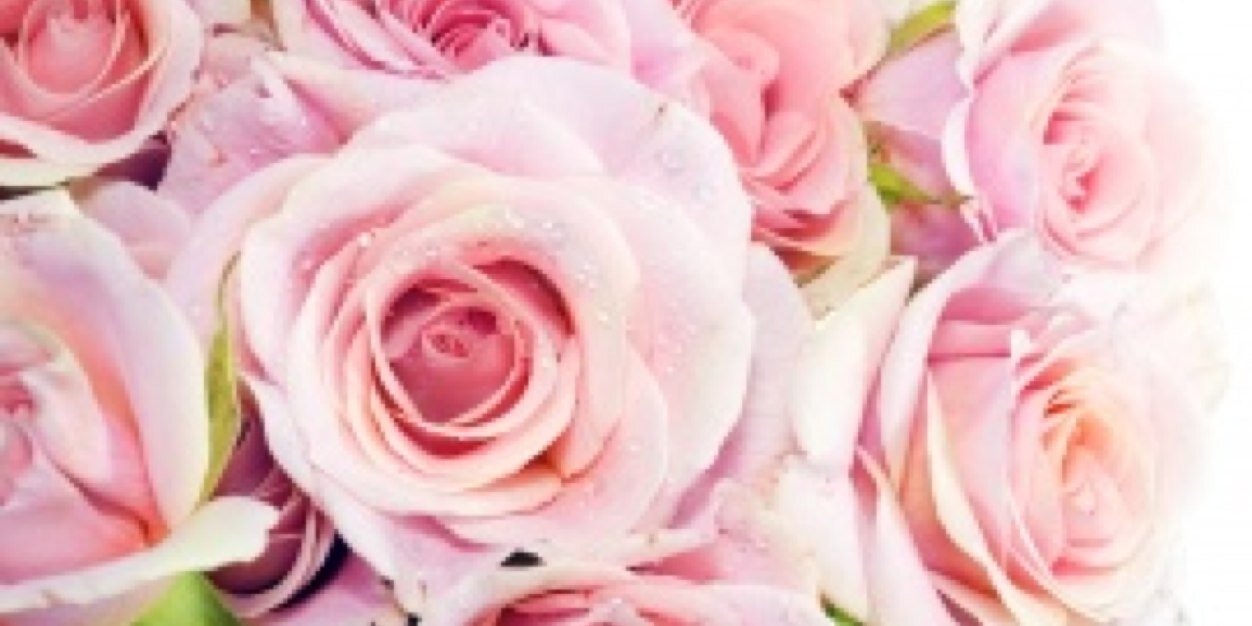 MollyFritch's profile banner image