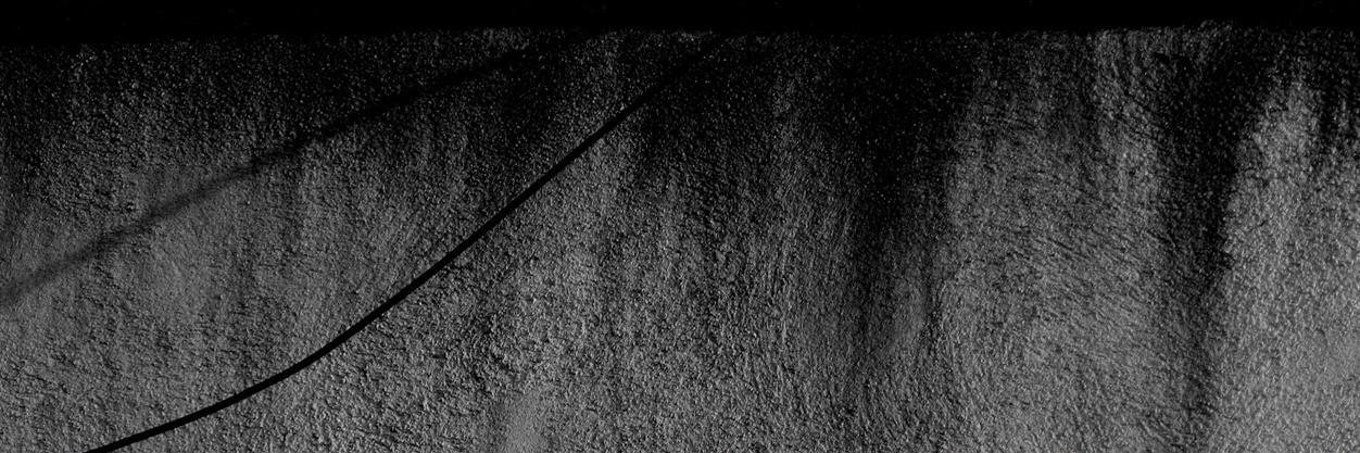 Esmerelda Batiste banner