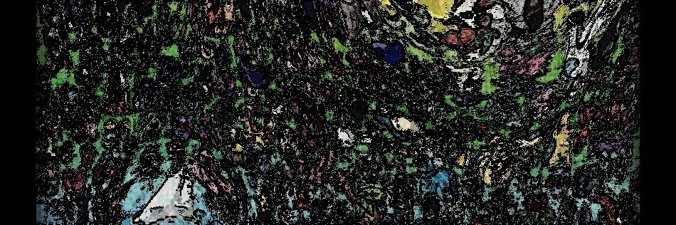 Cate Schofield banner