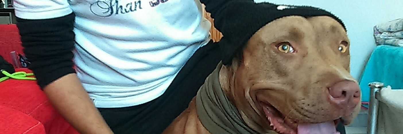ruben_tbb's profile banner image