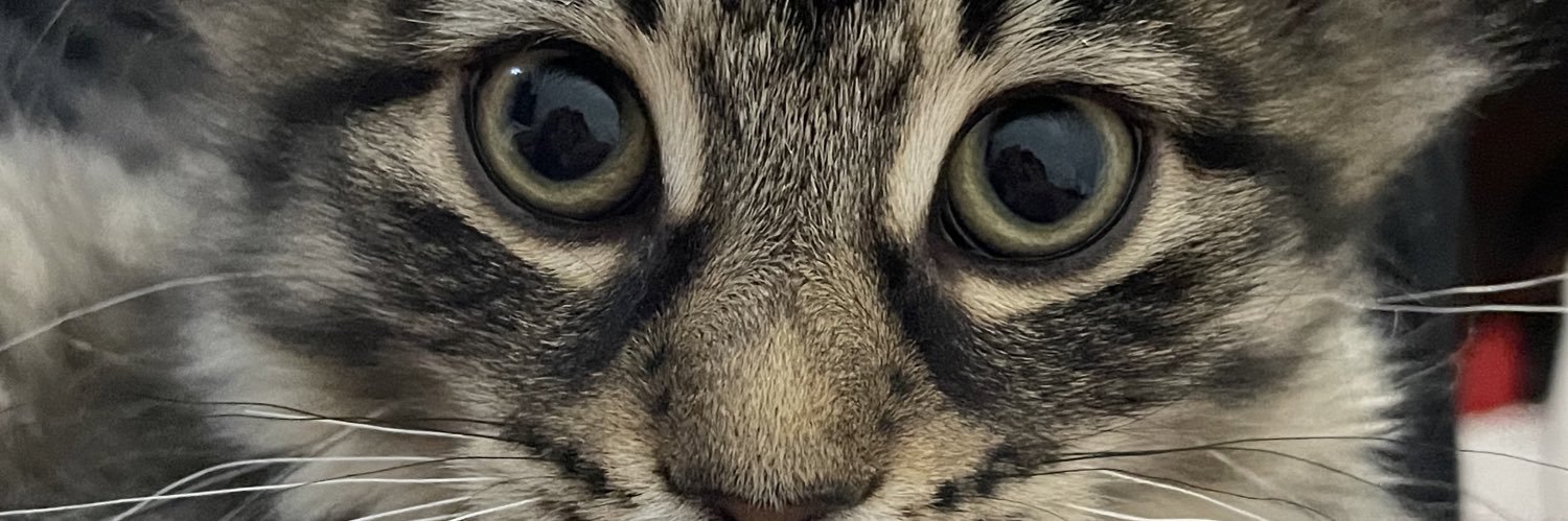 isKOBEdubidoo's profile banner image