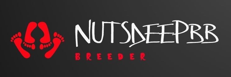 NutsdeepBB banner