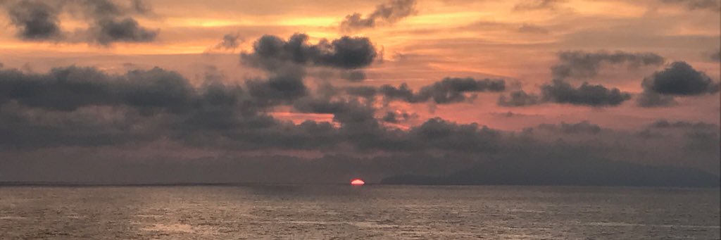 Mitz77's profile banner image