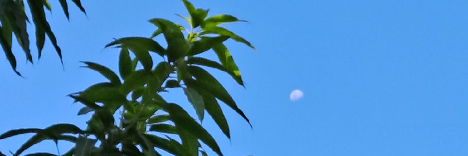 ameliardn_'s profile banner image