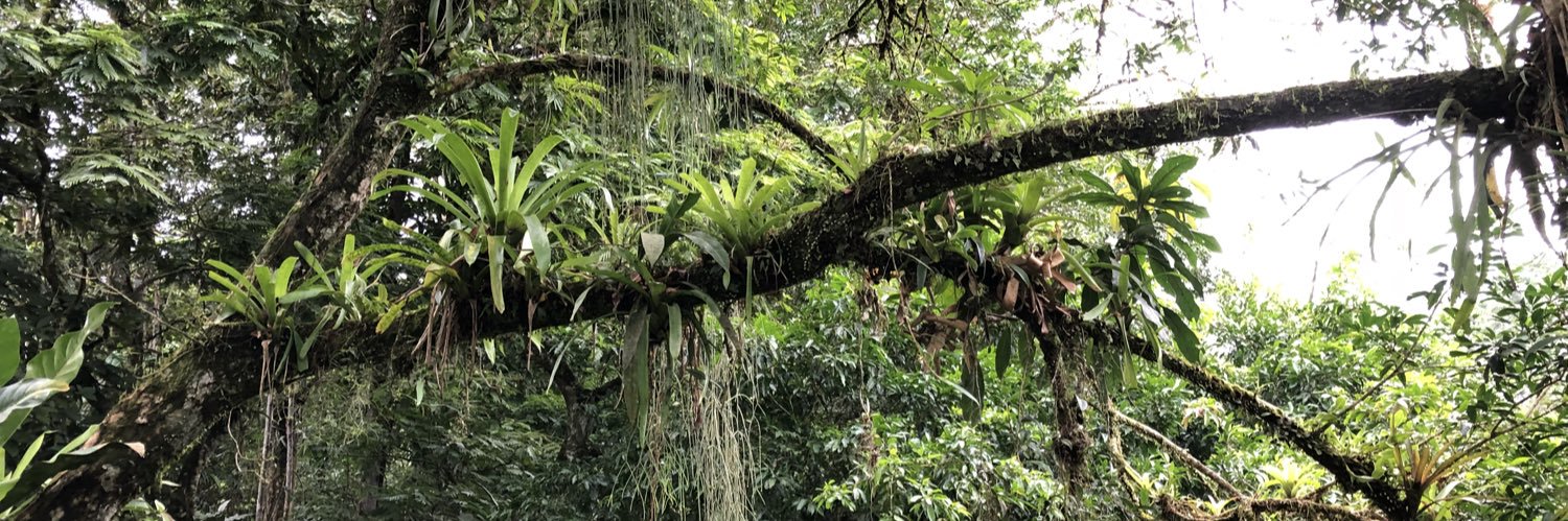 Matthew O'Donnell banner