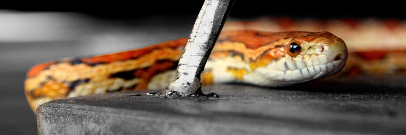 Juan Miguel Gonzalez banner