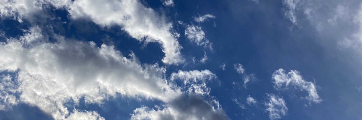 あぴか🐝 banner