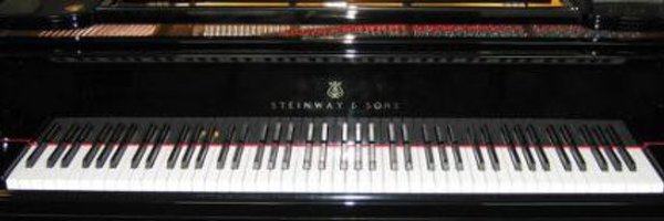 royvidman Profile Banner