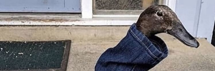 jkgoway's profile banner image