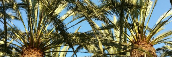 dlonrabor Profile Banner