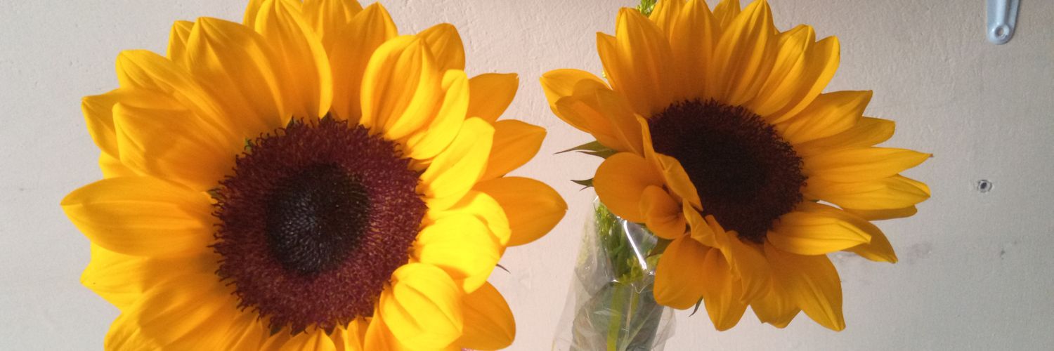 GloriSanchezC's profile banner image