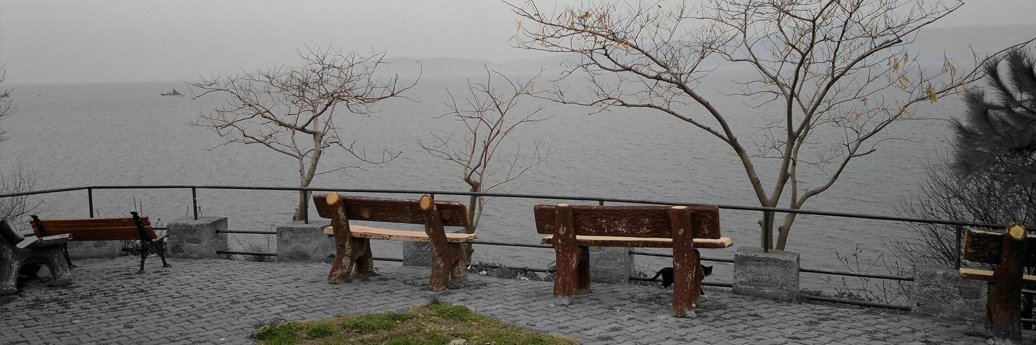 mehmettopalak's profile banner image