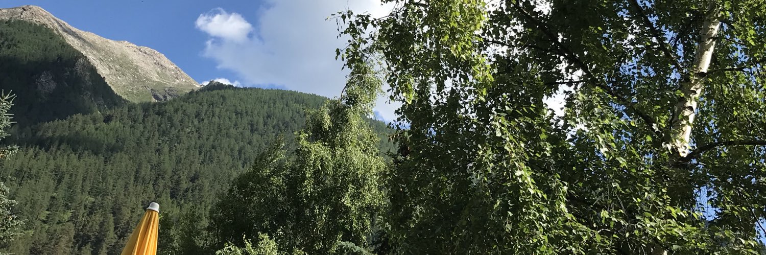 MeriBeccaris's profile banner image