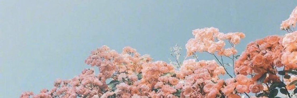 calliecapps's profile banner image