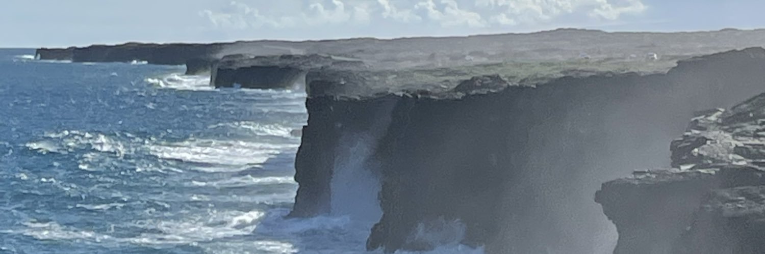joetigers96's profile banner image