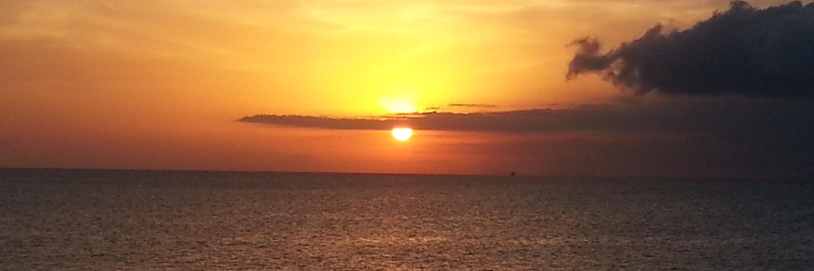 pedromppm's profile banner image